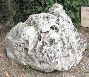 pierre alcor